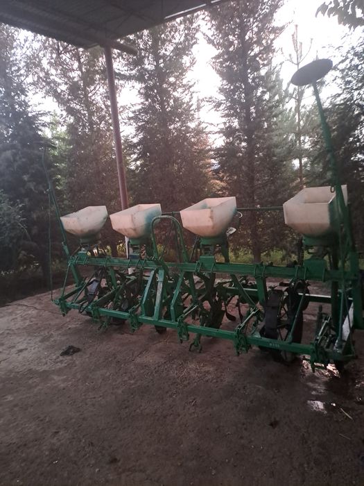 Сеолка сотилад .