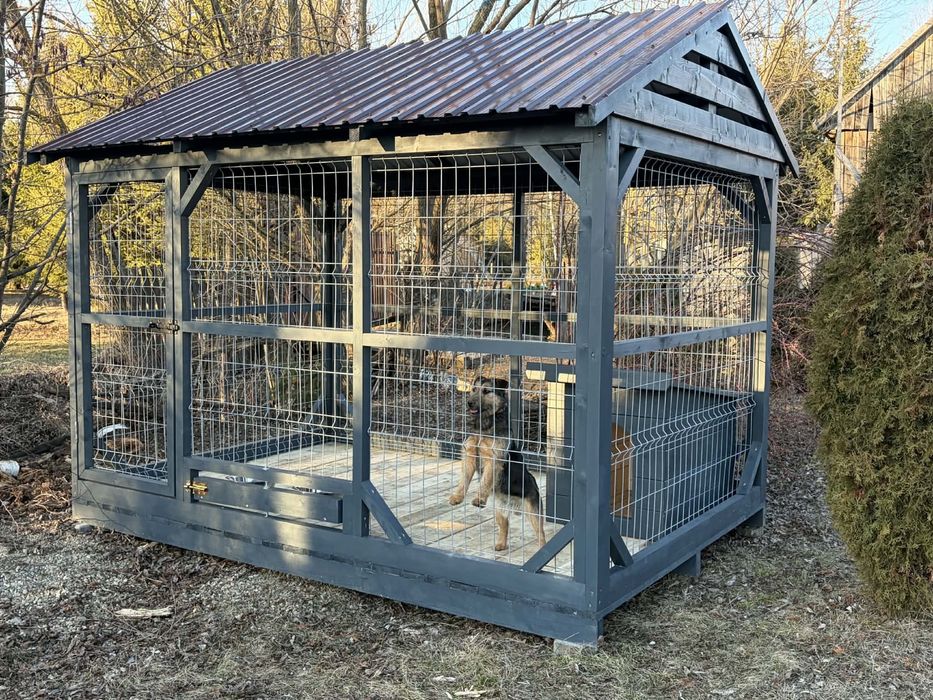 Țarc pentru câini/Kutyakennel