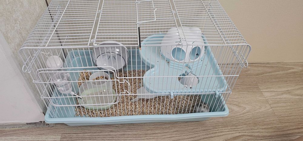 Хомяк с двухэтажной клеткой
