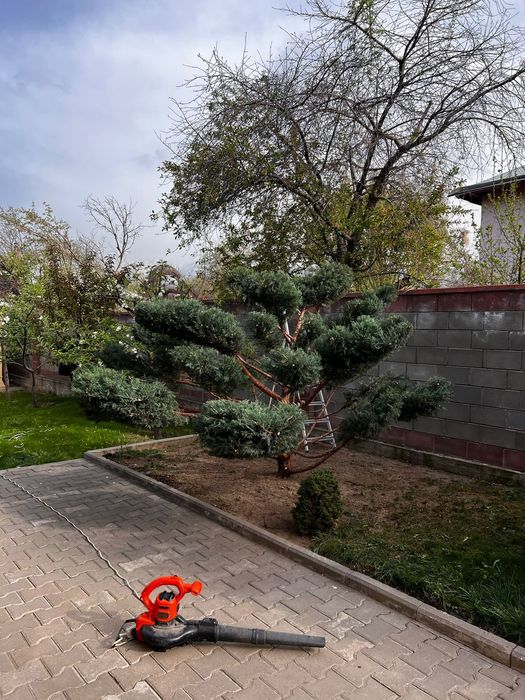 Услуги садовника