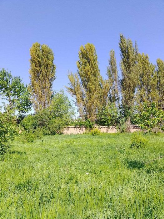 Ер сотилад Ҳар бири 4.5 сотихдан ёнма ён 2 та ер майдони (Байтқўрғон)