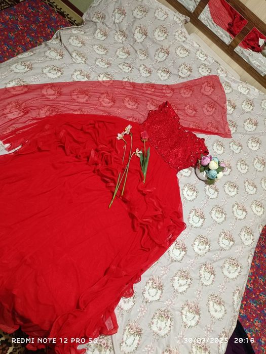 Koylak chiroyli 123456