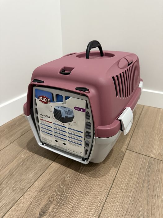 Отдам котенка в добрые руки