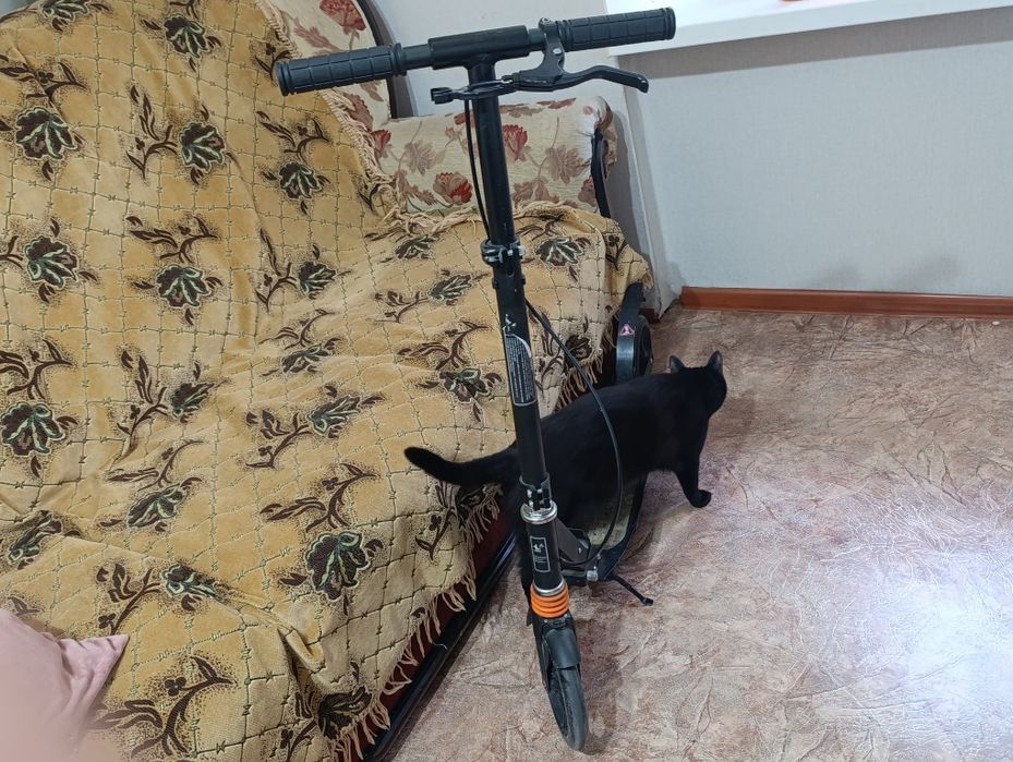 Самокат взрослый