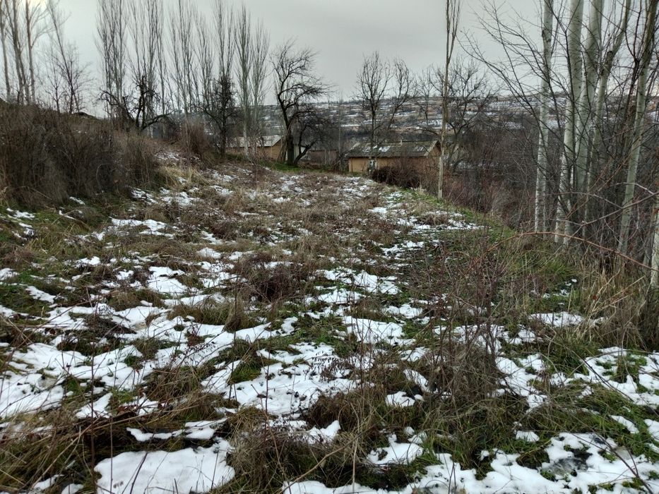 Daromadli Yer Meydoni