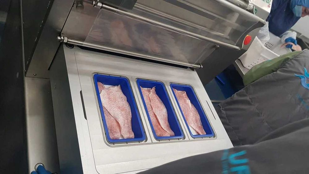 Запайщик лотков (трейсиллер) TSS