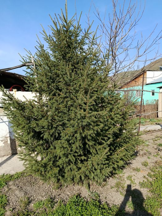 Прочие товары для дома и участка