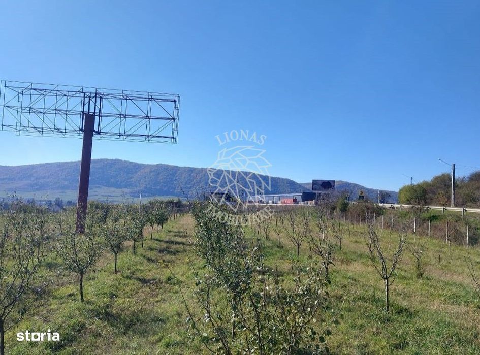 Teren intravilan 1,23 Ha la DN17 cu utilitati-livada-Crainimat