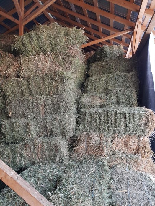 Vand baloti de lucerna