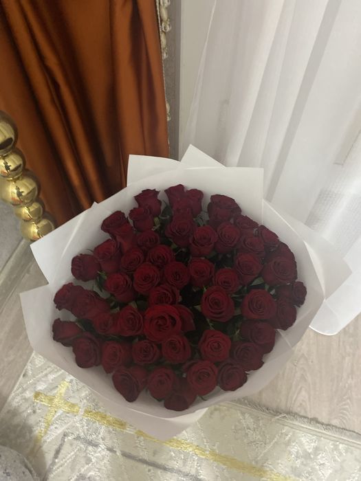 51 роза свежие .