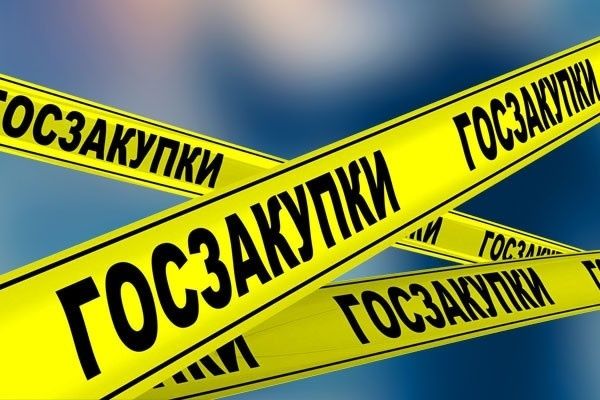Услуги госзакупкщика