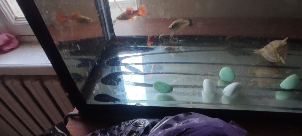 Продается аквариум с рыбками и пренадлежностями