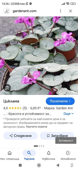 Нова, сребърна гривна. В подаръчна кутия.
