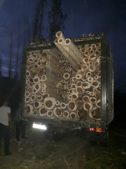 Terak olamz hammda sotamz