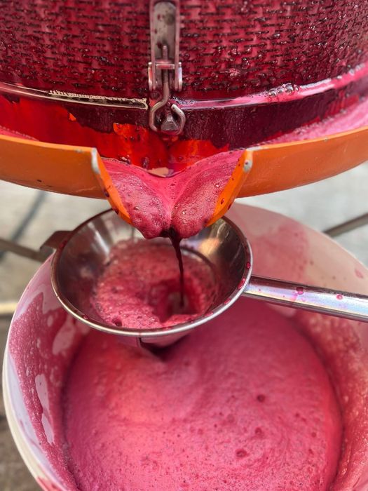 Suc de Aronia presat la rece