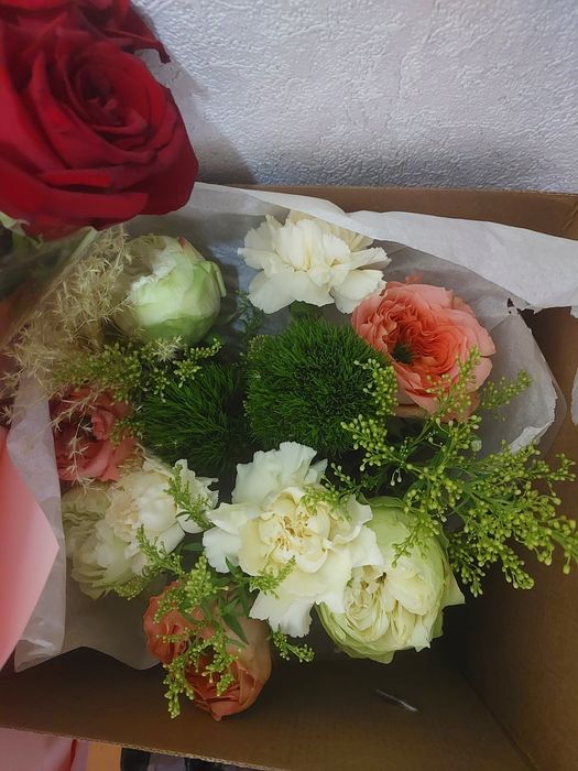 Цветы розы красные