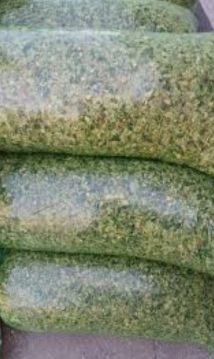 Silos sifatli va arzon narxlarda