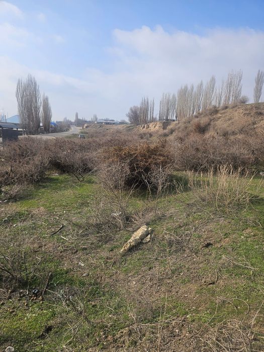 Земля 1га (участок)