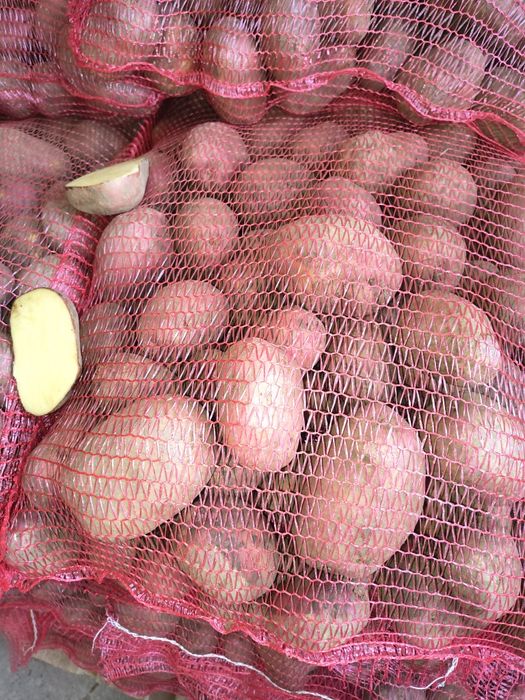 Cartofi roșu mari 60 plus