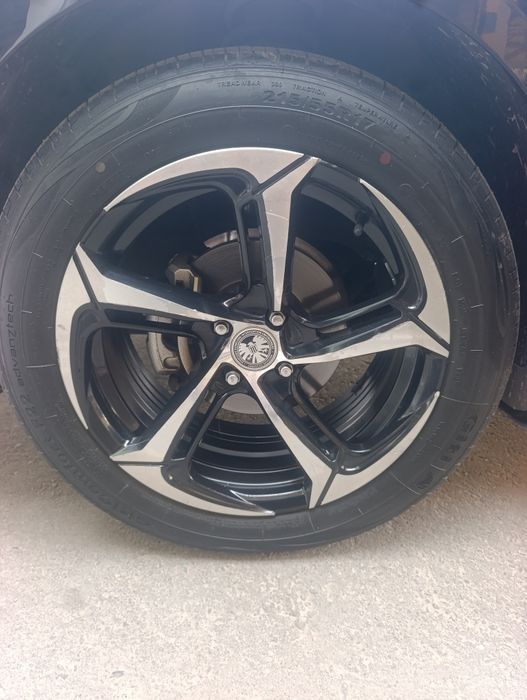 Самурай диска 17