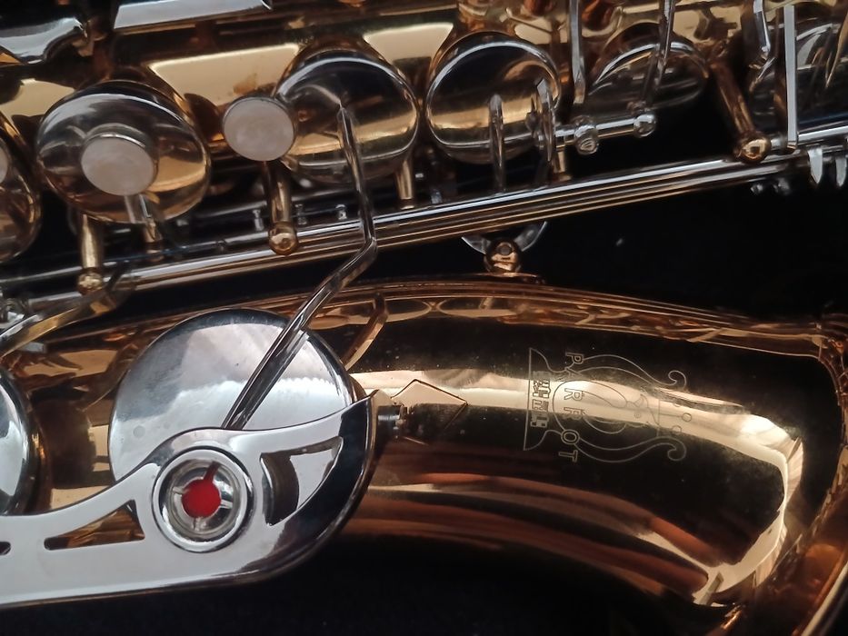 Saxofon parot nou