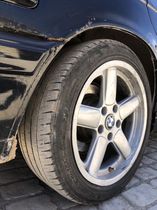 Продам Шницера 17 размер с балонами