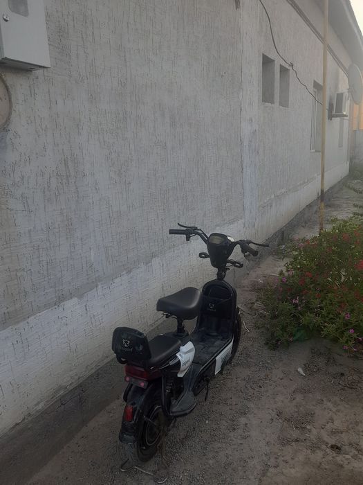 Леопард обмен бар