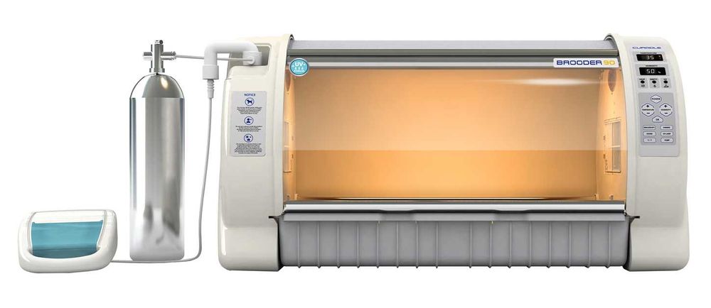 Incubator veterinar Rcom ICU MAX – recuperare câini, pisici, păsări, rozătoare – nou, garanție