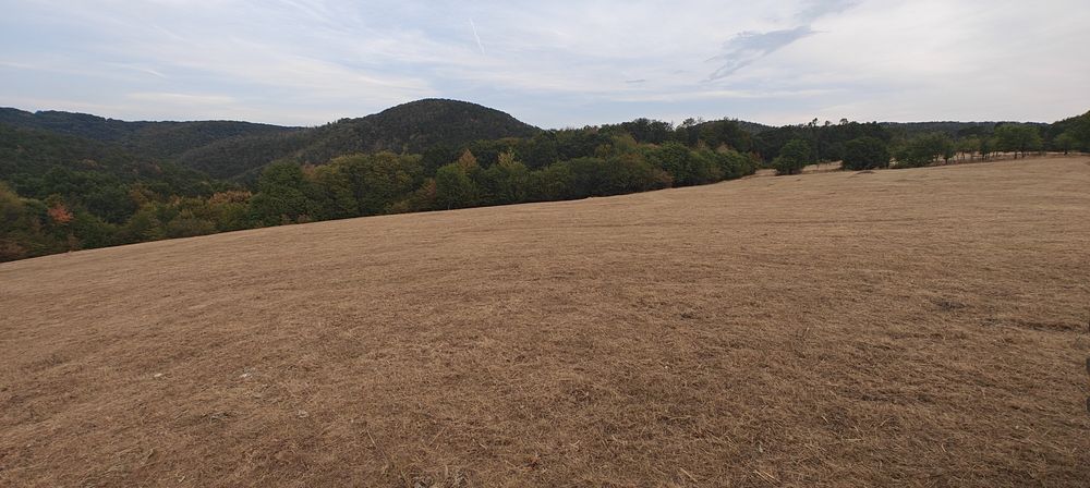 Vând teren extravilan 3,54 hectare