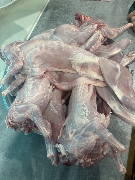 Продам мясо кролика