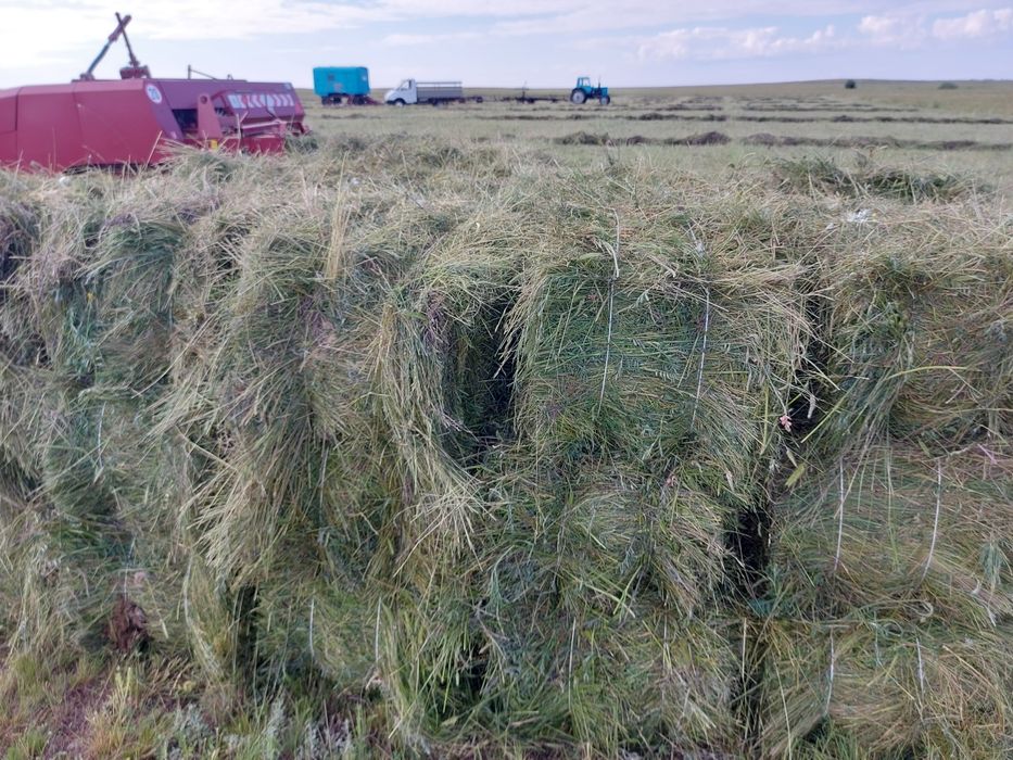 Сено разнотравя.