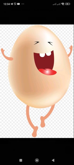 инкубационное яйцо