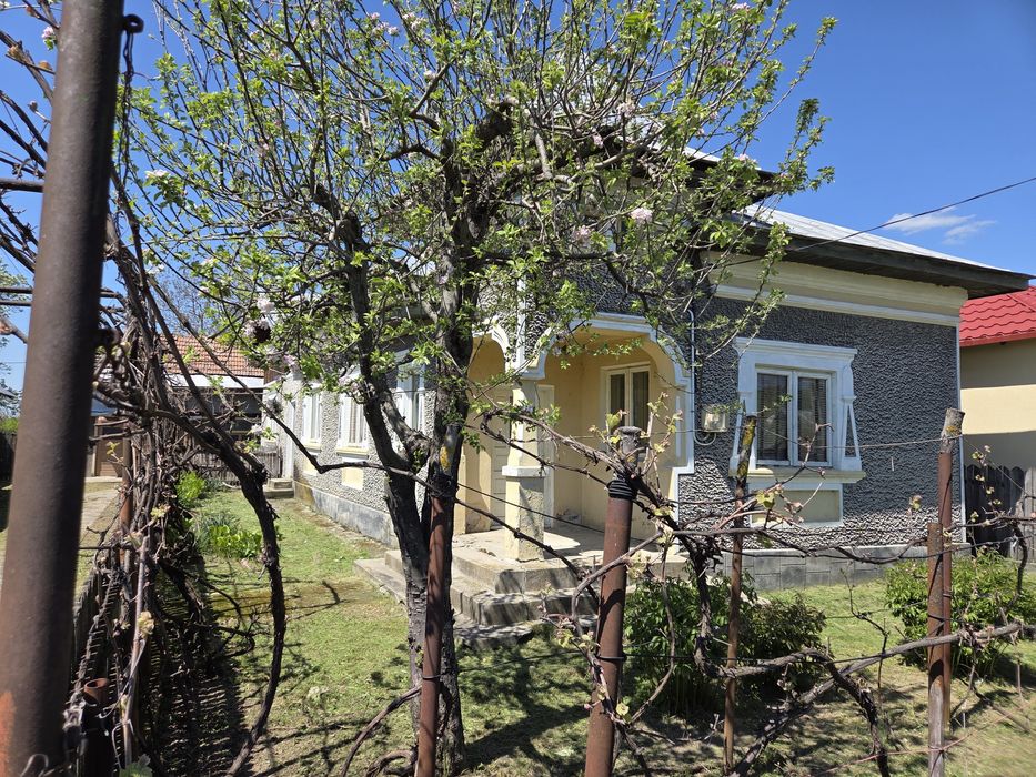 Case si teren Gura Foii  Dambovita