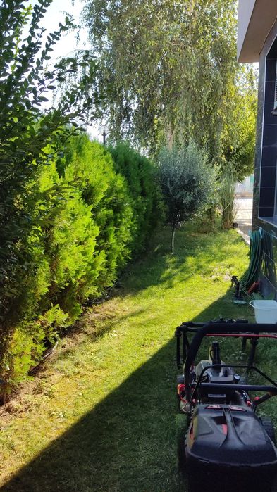 Поддръжка на дворове - Пловдив и региона