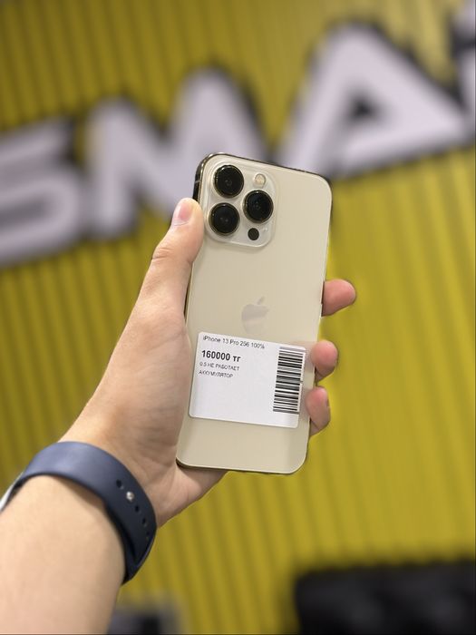 iPhone 13 Pro 256Gb 100%