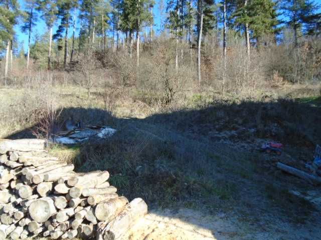 Продава се Парцел в Рудозем - 617 кв.м за 18 €/кв.м - Снимка #2