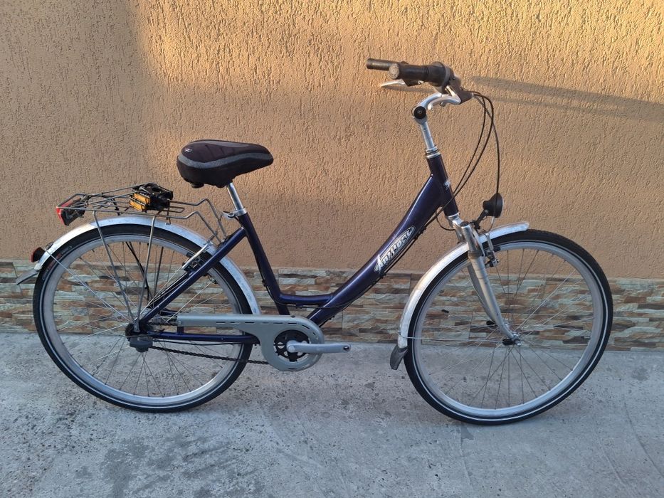 Biciclete de dama și bărbătești