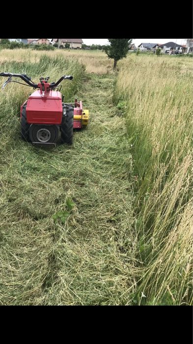 Defrisez Tai iarba Cosesc