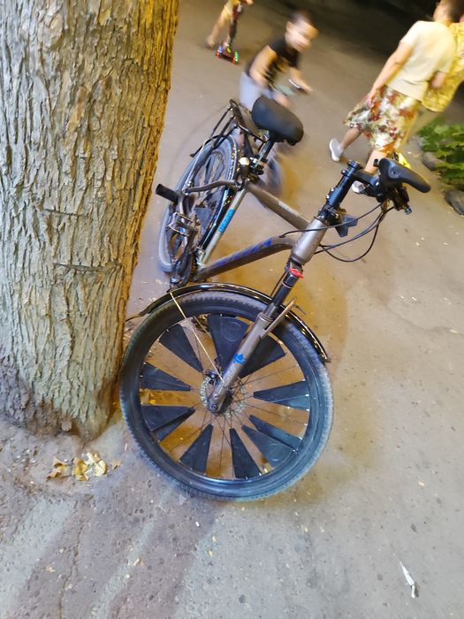 Velik sotiladi hamma