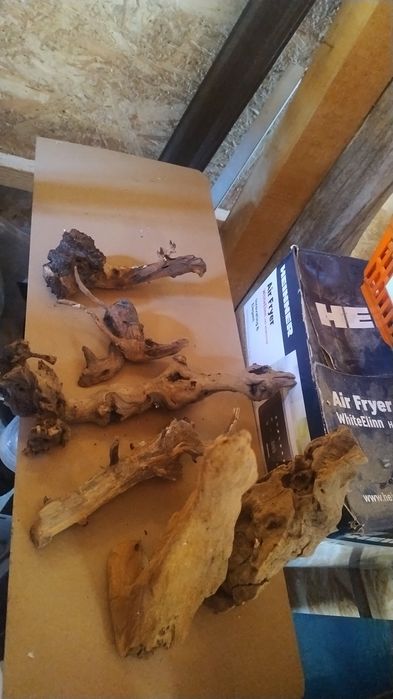 Lemne pentru acvarii