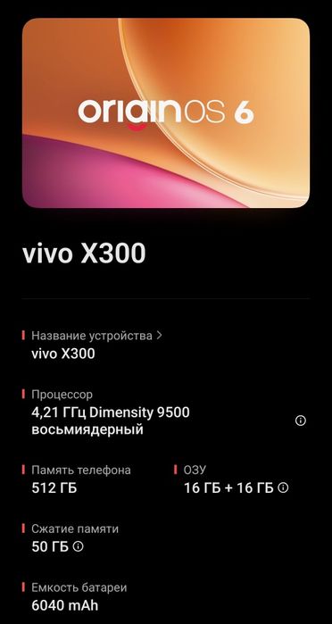Vivo x300 16/512