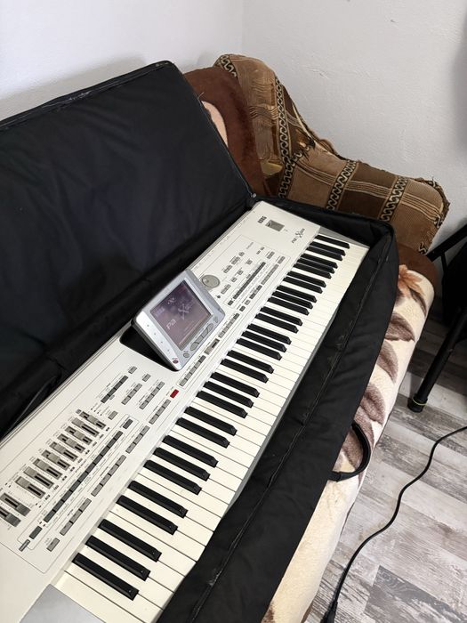 Vand korg pa2x pro 256mb ram+husa