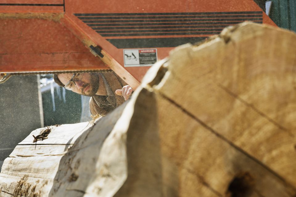 Panze panglica banzic debitat busteni | Orice Lungime | La comandă