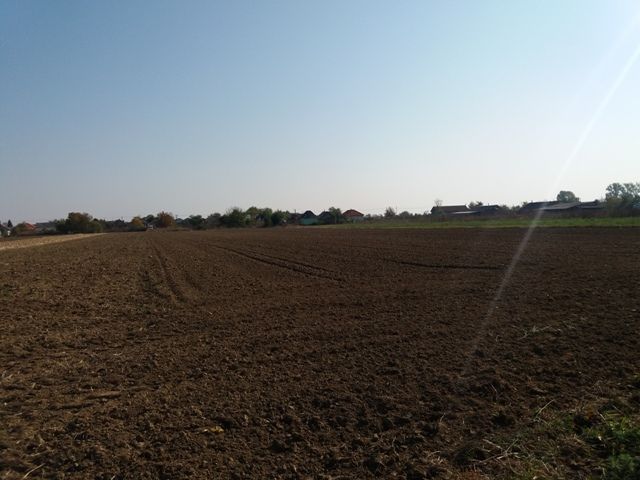 Investitie! Intravilan 55 ari capat Paulesti (intrare Ambud), 36 m.f.