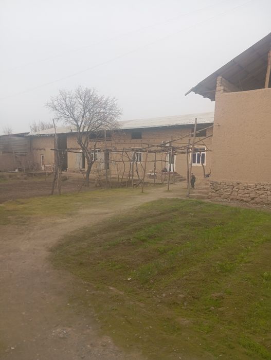 30/40метир атрофи уралган мевали дарахтлари бор