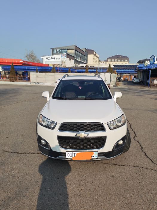 Kaptiva. 3. Oq jemchuk