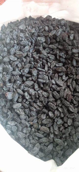 Soyakki Parkent magizi