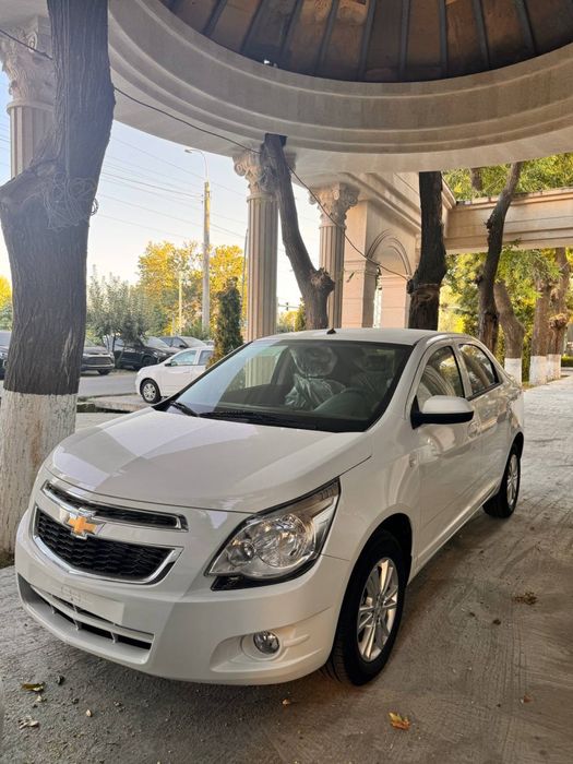 Other Cobalt 2025 — 6