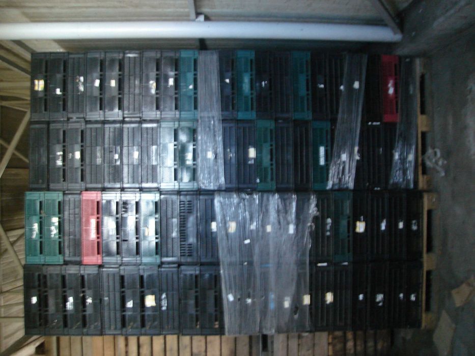 lazi fructe diferite dimensiuni