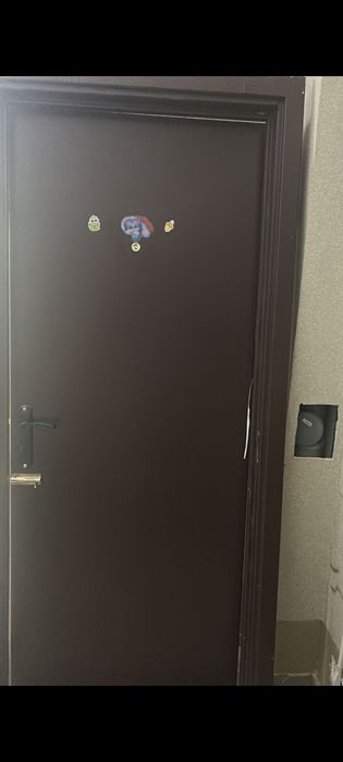 Металлическая дверь